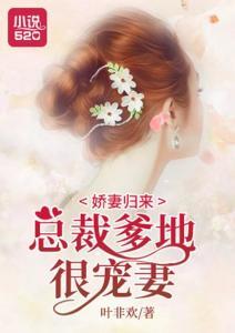 总裁爹地宠妻记,甜蜜育儿日常